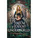 Fortune Academy Underworld: Book Ten