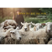 ... Denn Du Bist Bei Mir: Gedanken Zu Psalm 23 in Schweren Zeiten