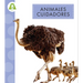Animales Cuidadores