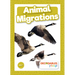 Animal Migrations