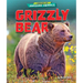 Grizzly Bear