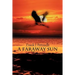 A Faraway Sun