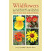 Wildflowers of the Northern and Central Mountains of New Mexico: Sangre de Cristo, Jemez, Sandia, and Manzano