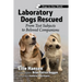 Laboratory Dogs Rescued: From Test Subjects to Beloved Companions