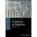 A History of Babylon, 2200 BC - AD 75