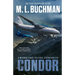 Condor: a political technothriller