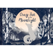 Gray Fox in the Moonlight