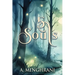 5 Souls: A Spiritual Journey through Forgiveness, Second Chances, Healing, and Growth