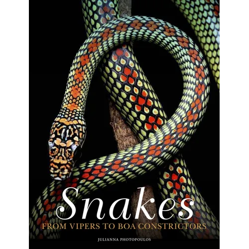 Snakes: From Vipers to Boa Constrictors