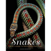Snakes: From Vipers to Boa Constrictors