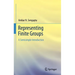 Representing Finite Groups: A Semisimple Introduction