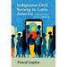 Indigenous Civil Society in Latin America: Collective Action in the Digital Age