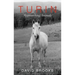 Turin: Approaching Animals