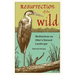 Resurrection of the Wild: Meditations on Ohio's Natural Landscape