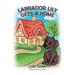Labrador Lily Gets A Home