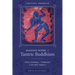 Making Sense of Tantric Buddhism: History, Semiology, and Transgression in the Indian Traditions
