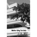 White City Tel Aviv