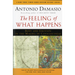 The Feeling of What Happens: Body and Emotion in the Making of Consciousness