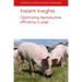 Instant Insights: Optimising Reproductive Efficiency in Pigs