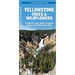 Yellowstone Trees & Wildflowers: A Folding Pocket Guide to Familiar Plants of the Yellowstone Area