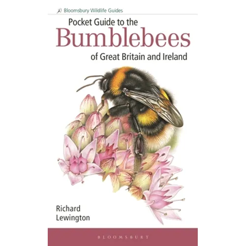 Pocket Guide to the Bumblebees of Great Britain and Ireland