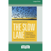 The Slow Lane: Why Quick Fixes Fail and How to Achieve Real Change (16pt Large Print Edition)