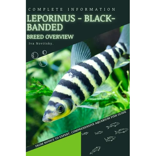 Leporinus - Black-banded: From Novice to Expert. Comprehensive Aquarium Fish Guide