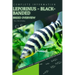 Leporinus - Black-banded: From Novice to Expert. Comprehensive Aquarium Fish Guide