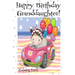 HAPPY BIRTHDAY GRANDDAUGHTER! (Coloring Card): Personalized Birthday Card for Girls, Inspirational Birthday Messages!