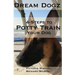 4 Steps to Potty Train Your Dog