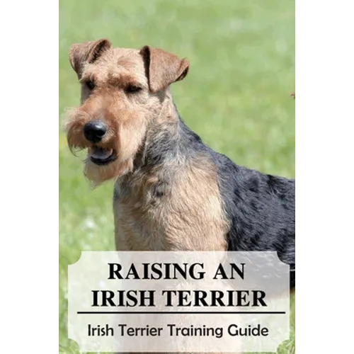 Raising An Irish Terrier: Irish Terrier Training Guide: Best Ways To Exercise Your Irish Terrier?