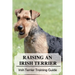 Raising An Irish Terrier: Irish Terrier Training Guide: Best Ways To Exercise Your Irish Terrier?