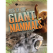 Rise of the Giant Mammals