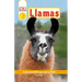 DK Readers Level 2: Llamas