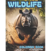 Wildlife Coloring Book: Beautiful Wildlife Scenes with Wild Animals, Mammals, Birds, Marine Animals, Reptiles and Insects. Coloring Book for C
