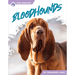 Bloodhounds