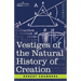 Vestiges of the Natural History of Creation