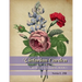 Victorian Garden: Greyscale Colouring Book 1