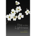 This Is the Lightness