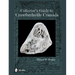 Collector's Guide to Crawfordsville Crinoids