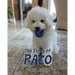 The Story of Paco