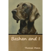 Bashan and I