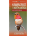 Hummingbirds of North America: The Eight Most Familiar North American Species