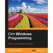 C ++ Windows Programming