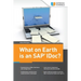 What on Earth is an SAP IDoc?