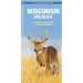 Wisconsin Wildlife: A Folding Pocket Guide to Familiar Animals