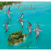 Circle