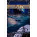 Attack Satellite