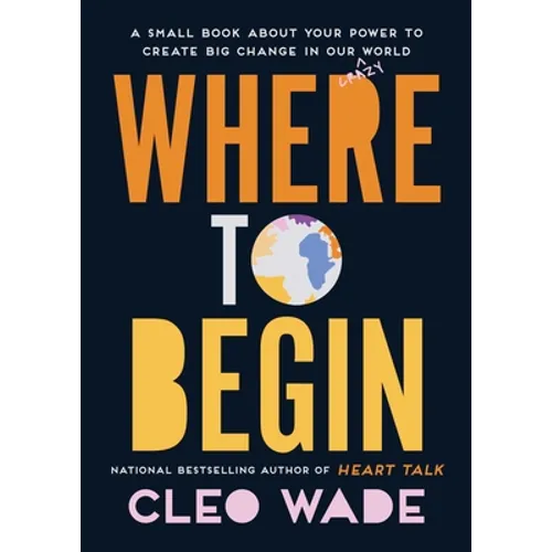 Where to Begin: A Small Book about Your Power to Create Big Change in Our Crazy World