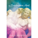 The Tenderness of God